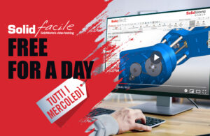 SolidFacile_free_for_a_day_evidenza